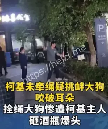 杭州狗狗被酒瓶砸头事件